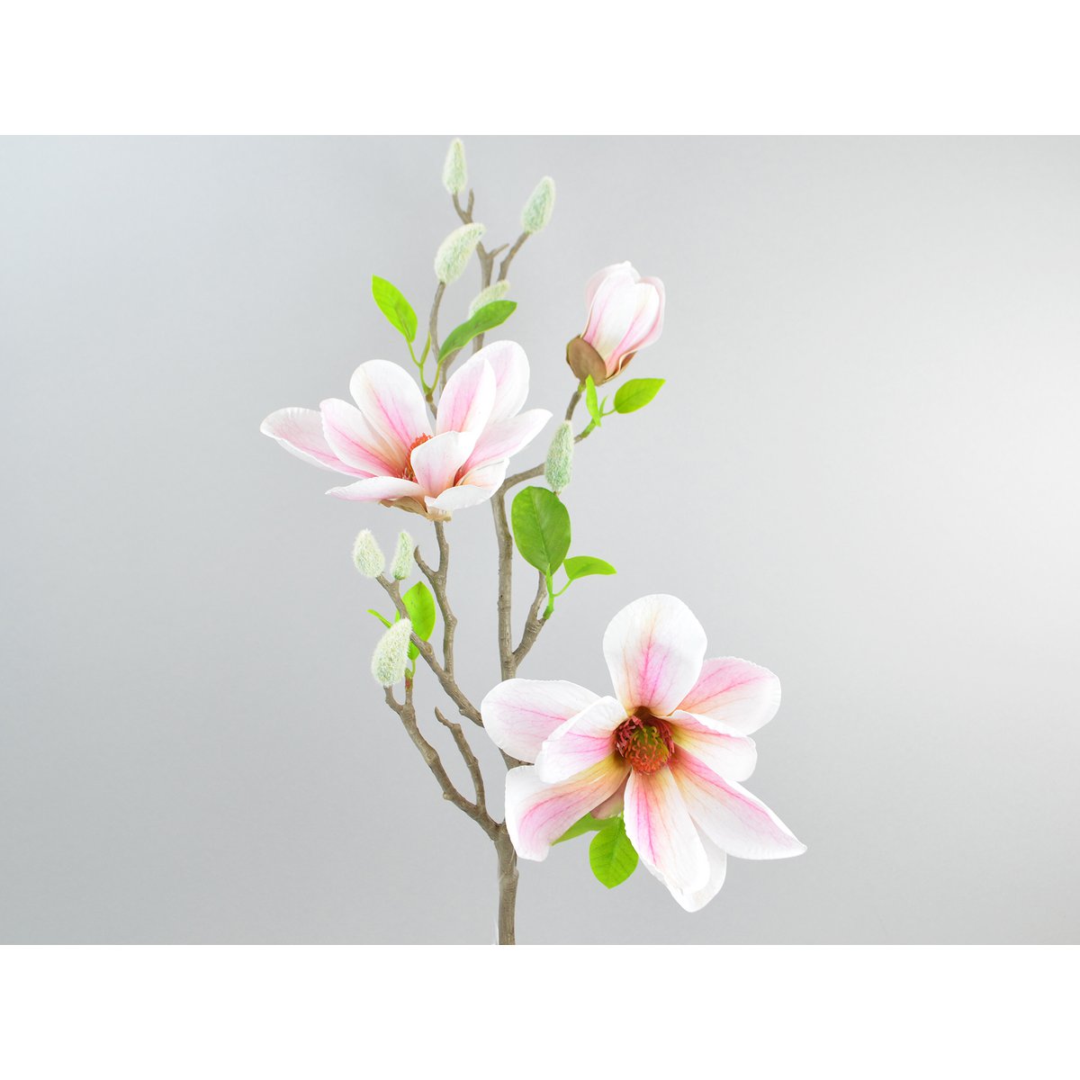 Magnolia-tak, 75 cm, witte pink