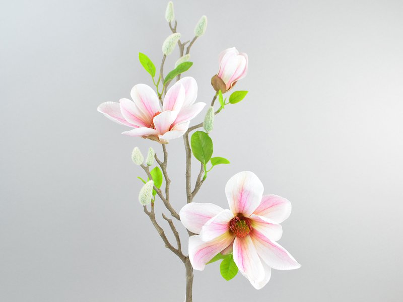 Magnolien-Zweig, 75 cm, weiß-rosa