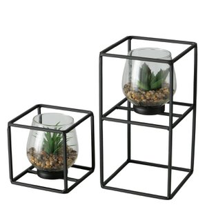 Pflanze im Glas/Halter-Set mit 2 Stück