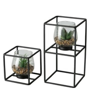 Pflanze im Glas/Halter-Set mit 2 Stück