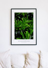 A vibrant green poster featuring lush, tropical foliage. The image showcases the natural beauty of the plant's large, glossy leaves and intricate patterns. This poster would be an excellent addition to any nature-inspired or botanical-themed decor.