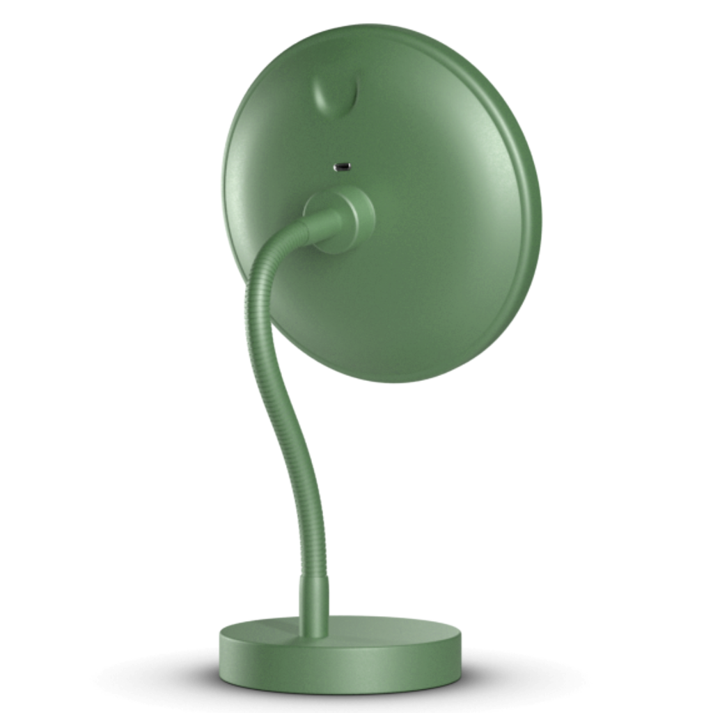 Illuminated mirror with stand and gooseneck