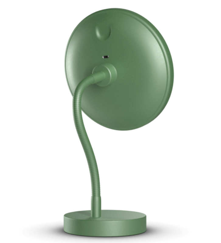 Illuminated mirror with stand and gooseneck