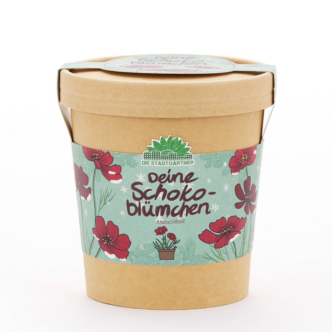 Schokoblumen aus dem Becher