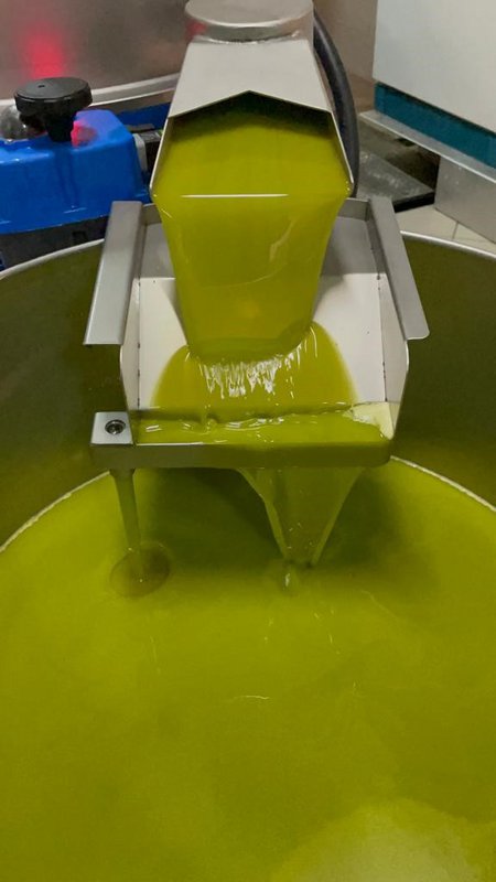 ITALIA | SICILIA | Extra Virgin Olive Oil - il SALTO | Bag in Box 5 LT