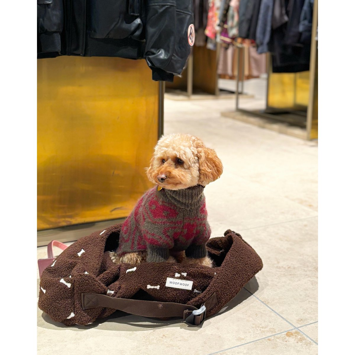 DOG CARRIER BROWN with bones
