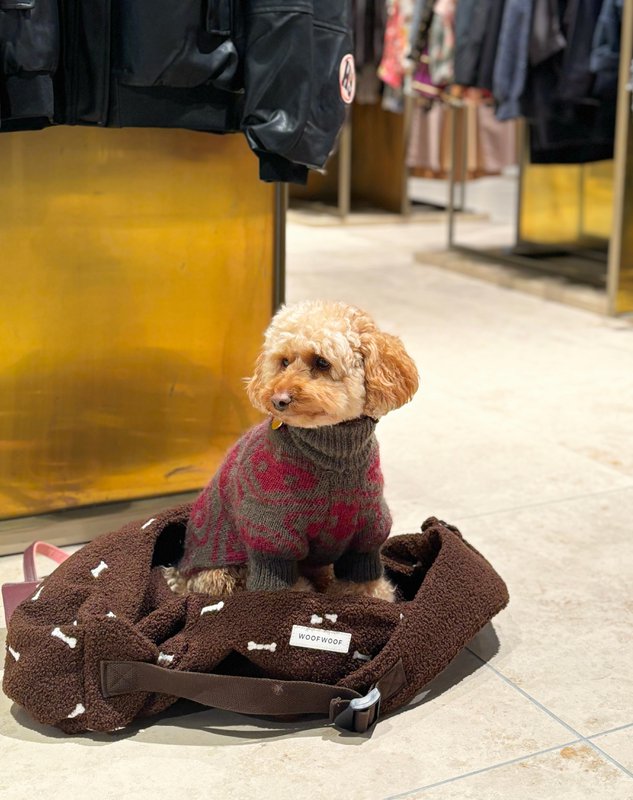 DOG CARRIER BROWN with bones