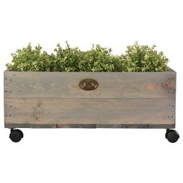 Dagros wholesales