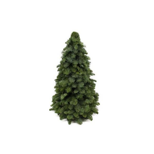 Nobilis Christmas tree - ↕60cm