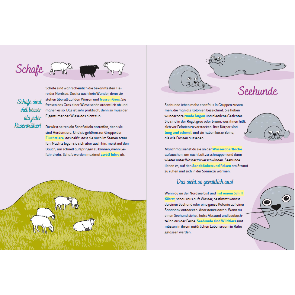 Nordsee voor kinderen