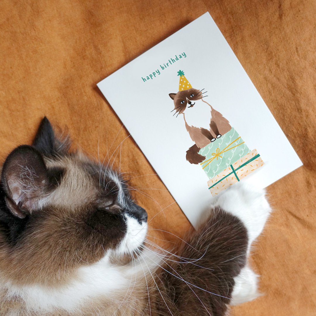 Carte d'anniversaire | Joyeux anniversaire | Chat