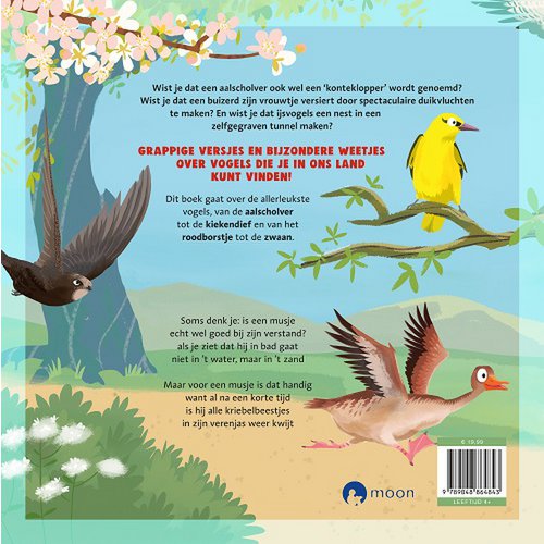 Marianne Busser & Ron Schröder - The thick bird book