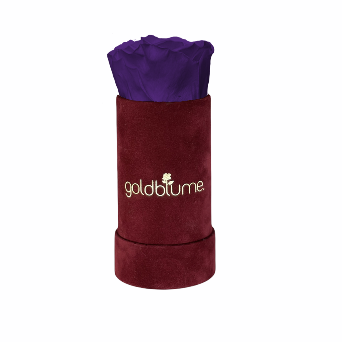 Collection Velours Bordeaux