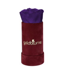 Velvet Bordeaux Collection