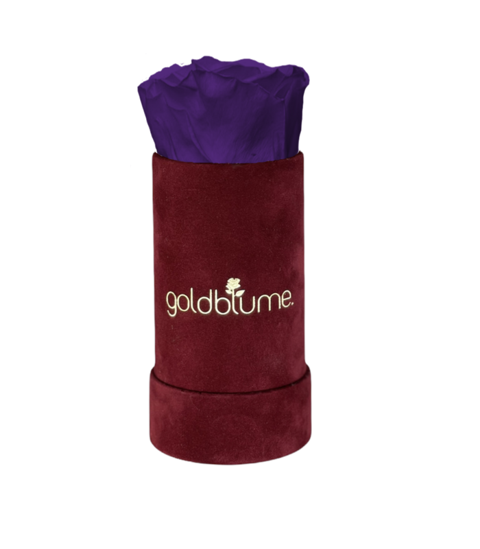 Velvet Bordeaux Collection