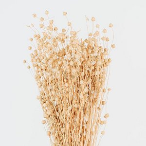 Linum dried flower bouquet