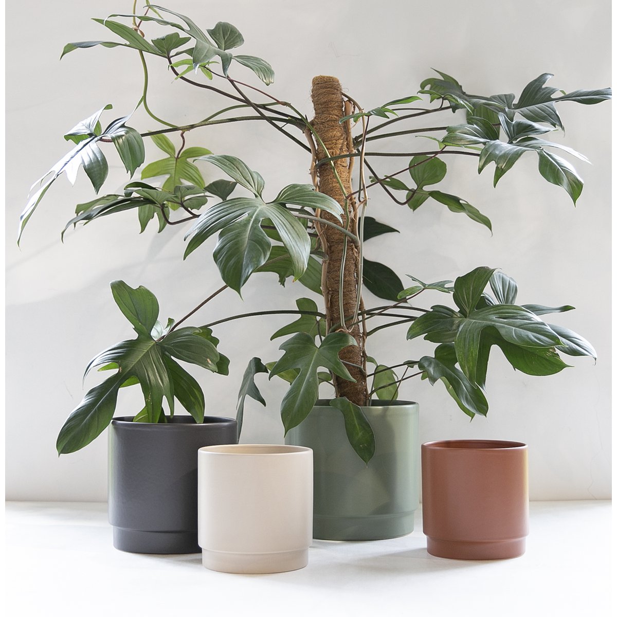 Sense pot matt terra