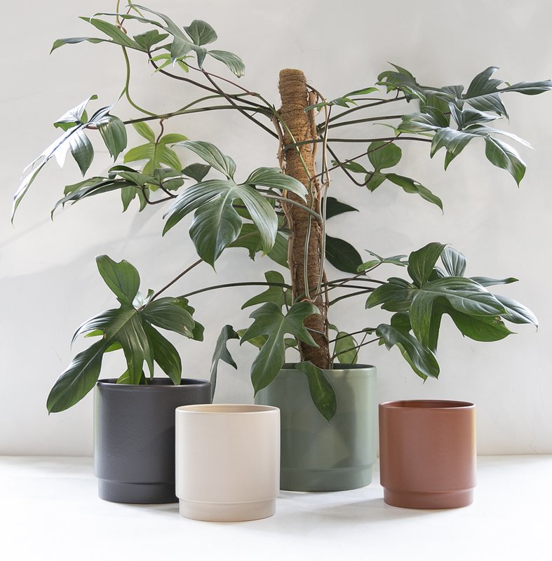 Sense pot matt terra