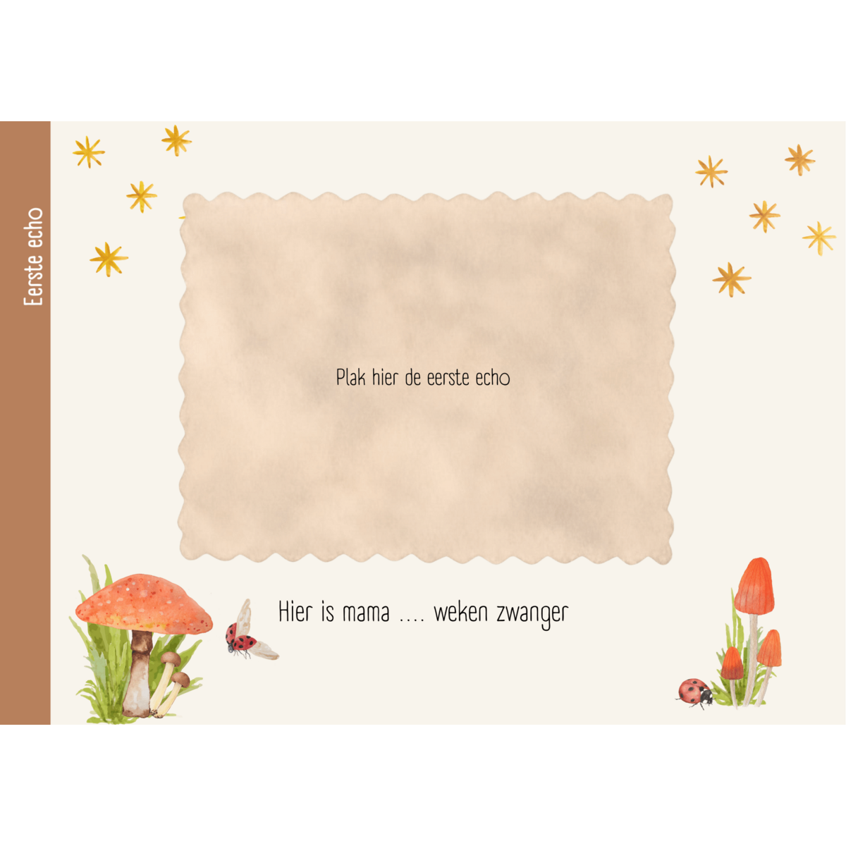 Libro de ultrasonidos - Amigos del bosque