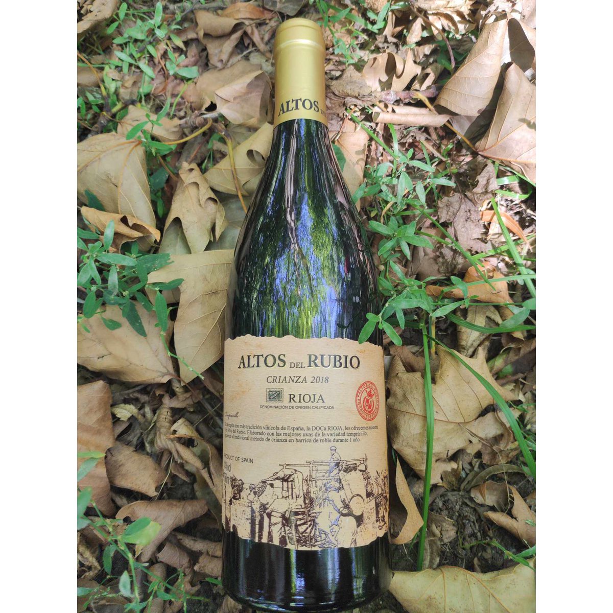 Crianza rødvin D.O.Ca. Rioja Altos del Rubio