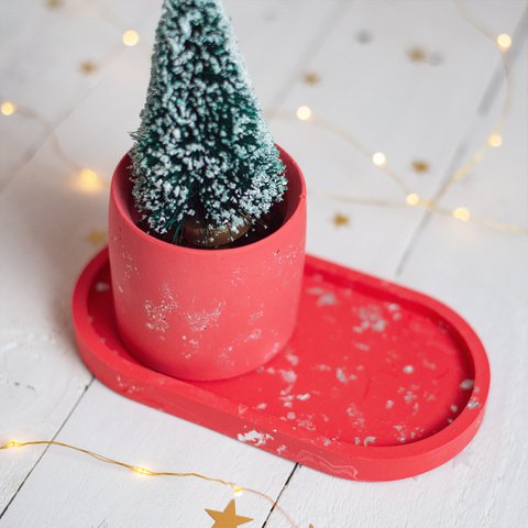Rode jesmoniet plantenpot en trinket schotel set met bladzilver
