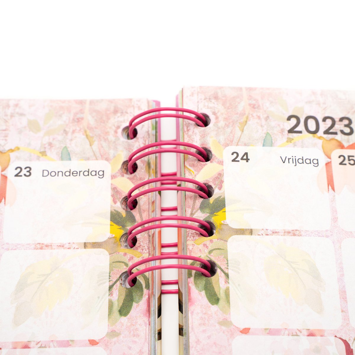 Endless Mae Family Planner 2023