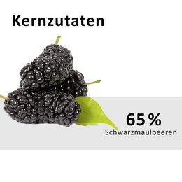 Mermelada de morera negra extra (290 g)