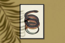 Snake