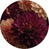 burgundy 1