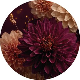 burgundy 1