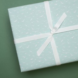 Vögel Emballage Paper Mint - Papier d'emballage maritime avec des mouettes, comme emballage cadeau pour le mariage, pour la naissance ou le baptême