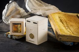 Houten Geschenkdoos Honing van wilde kruiden & tijm, 120g