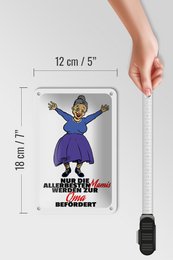 Blechschild Spruch 12x18cm Mamis werden zur Oma Dekoration