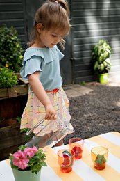 Skirt Rijk