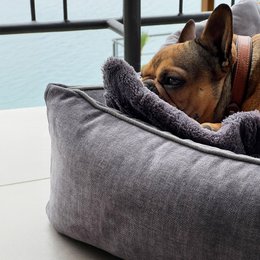 GLAM CLASSIC HUNDEBETT