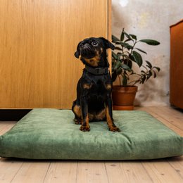 Materasso "Soft" per cane e gatto - riciclato