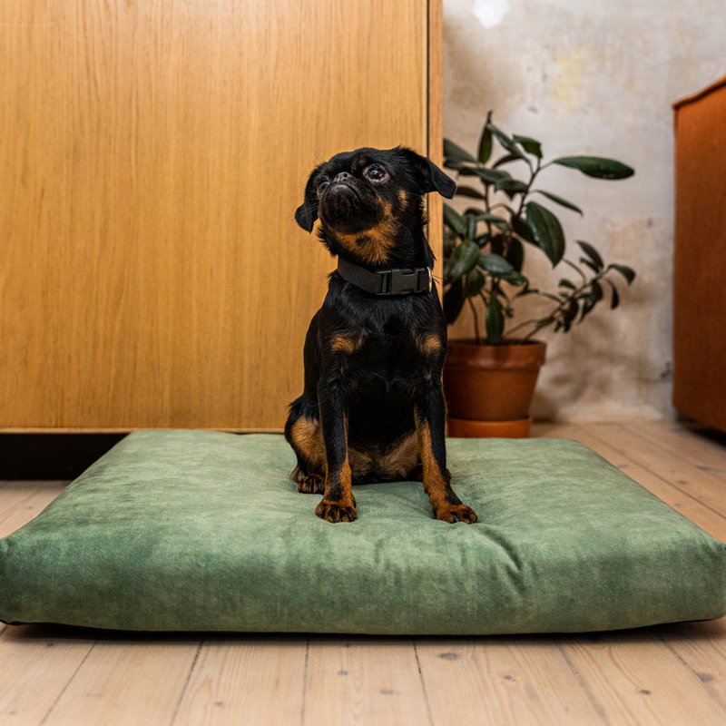 Madras "Soft" til en hund og en kat - genbrugt
