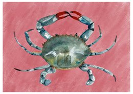 Póster (impresión de arte): cangrejo verde