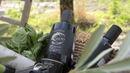 ITALIA | SICILIA | Extra Virgin Olive Oil - il SALTO | 1 LT