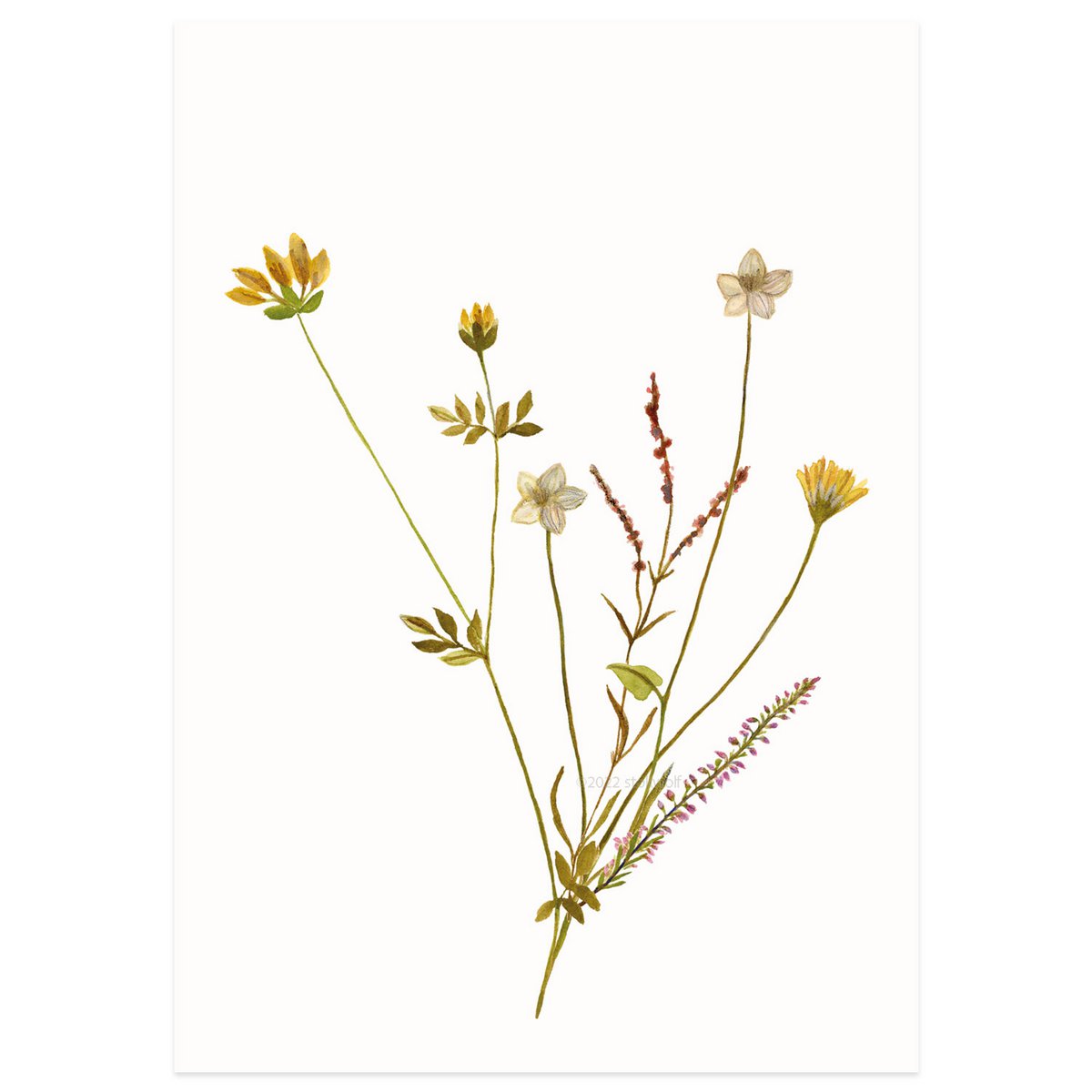 postkaart | Eilandbloemen oker