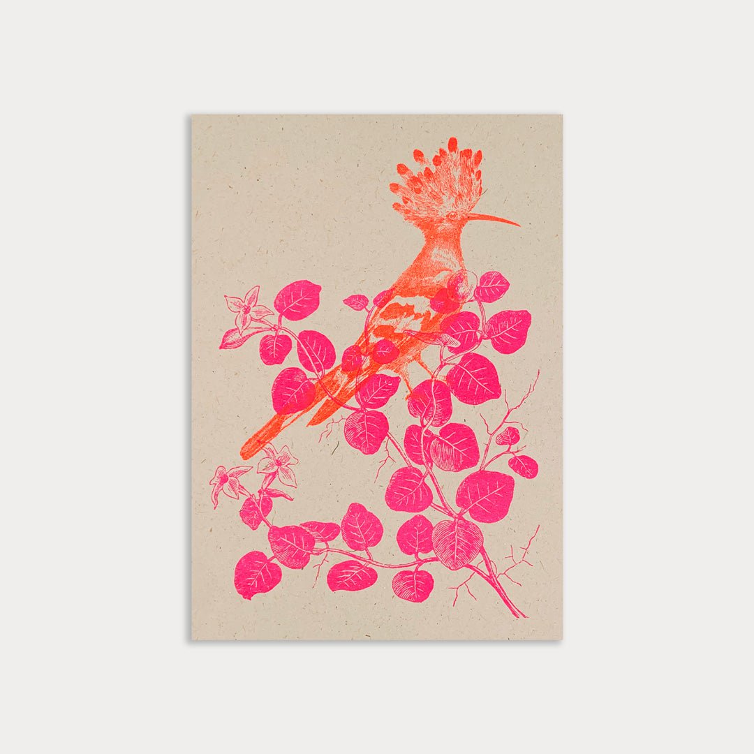 Ansichtkaart / hop / ecopapier