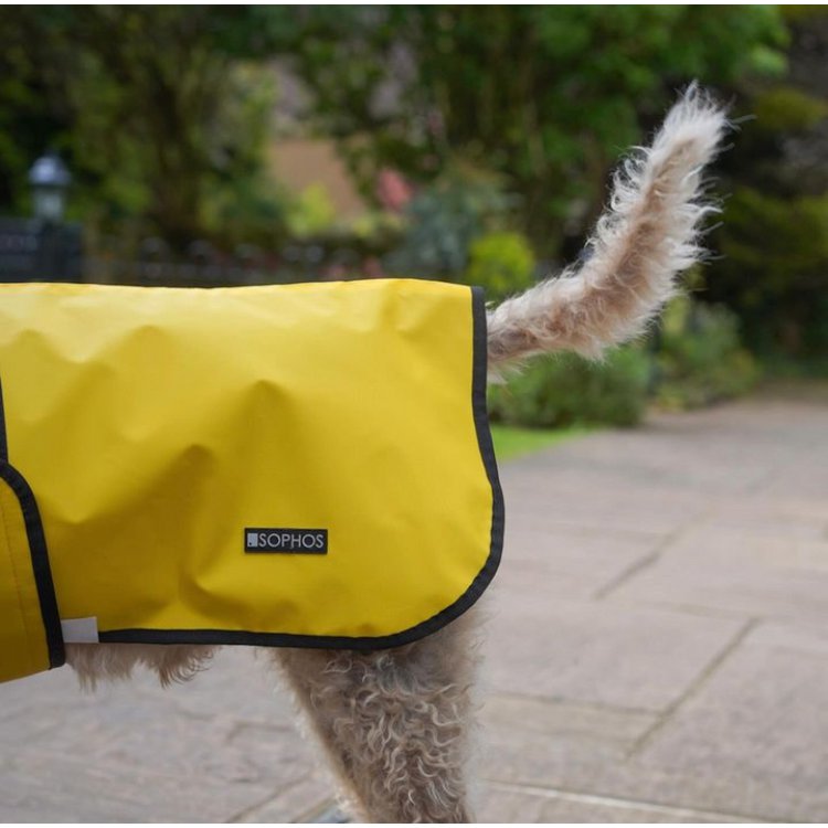 Green Dog Coat