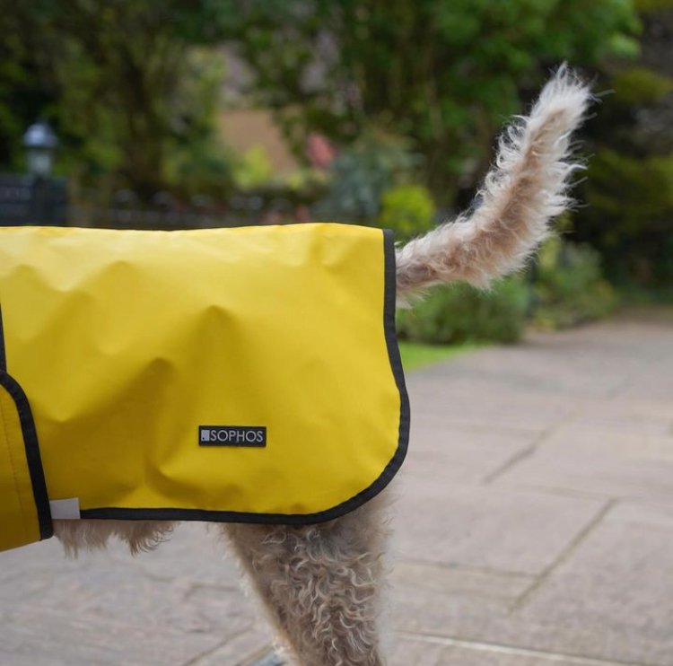 Grøn Hundefrakke