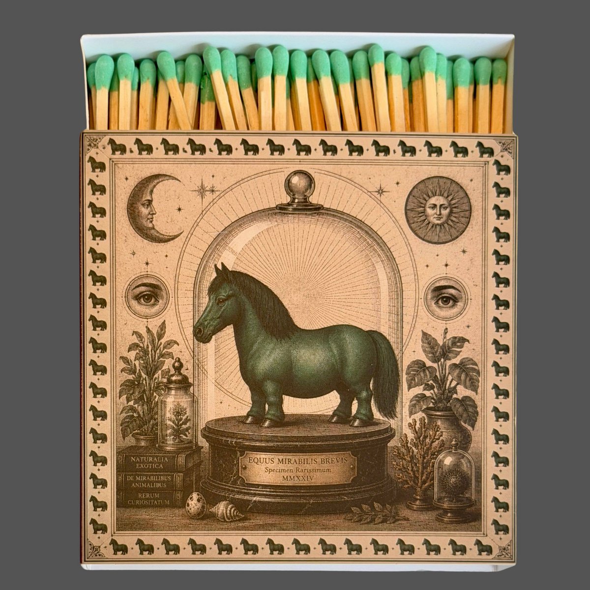 Curiosity Horse Matches