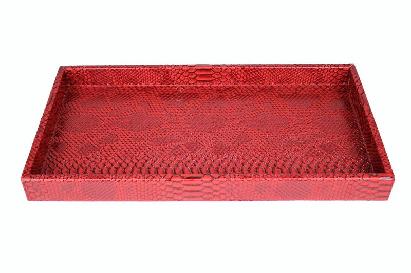 Plateau rectangulaire pour reptiles rouge
