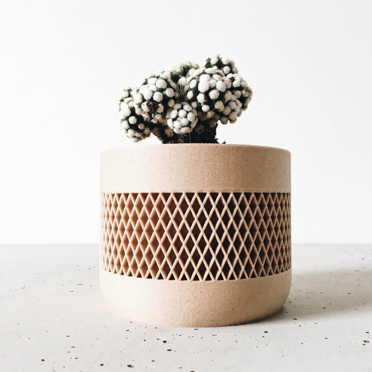 MAT Kamerplanter