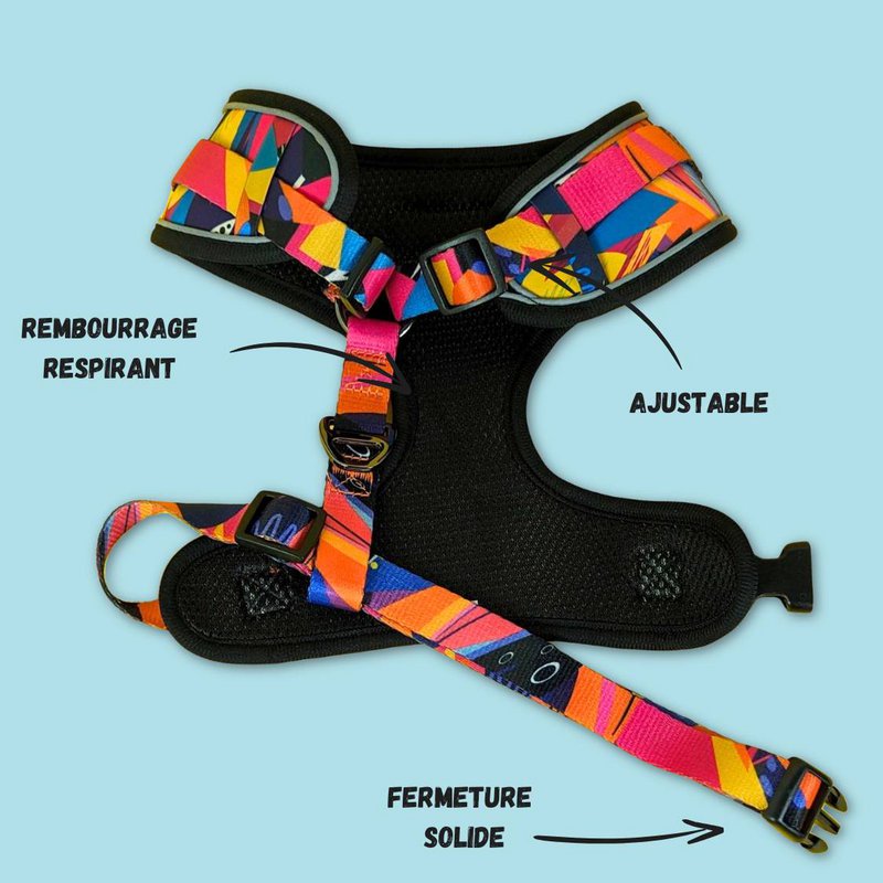 Imbracatura classica Panache