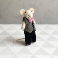 Mouse groom