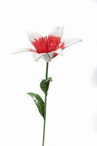 ZIMBA-ARTS METAAL ROZE EN WITTE LELIE