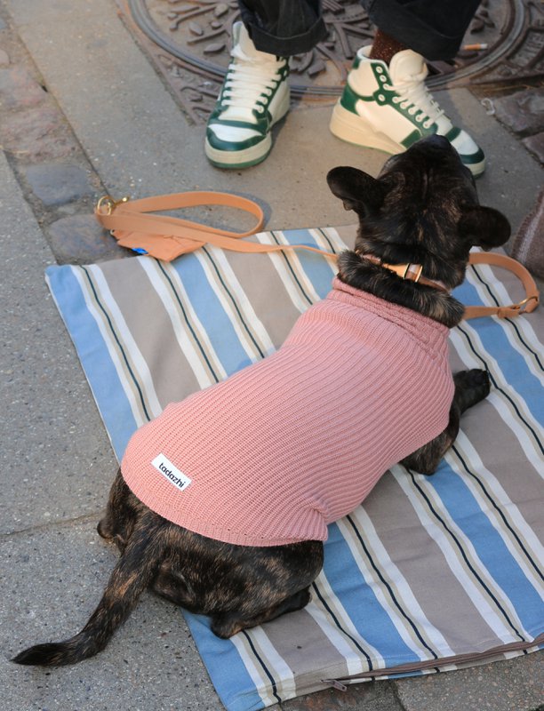 Dynehund tæppe klassisk stribet